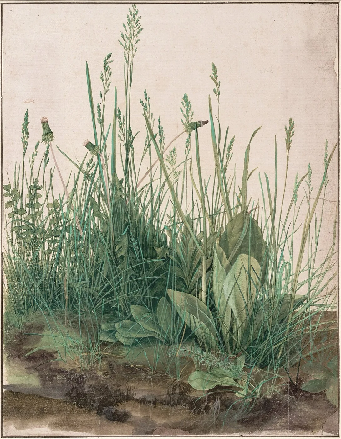 Albrecht Dürer — work from the archive