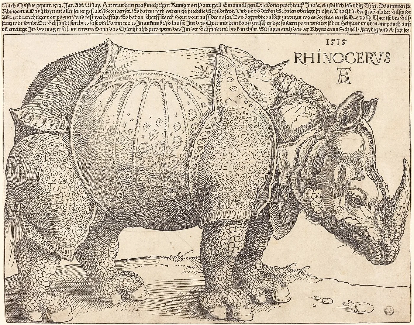 Albrecht Dürer — work from the archive